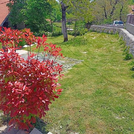 Holiday In The National Park Lovcen เซทินเจ ภายนอก รูปภาพ